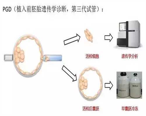 深圳试管私立医院已公布(深圳民营试管医院有哪些)
